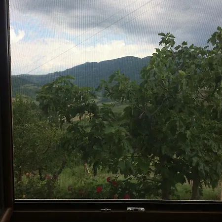 La Casa Nel Verde Castelmezzano Exterior foto